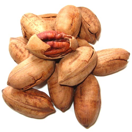 ٹ_ٹӵĺ_