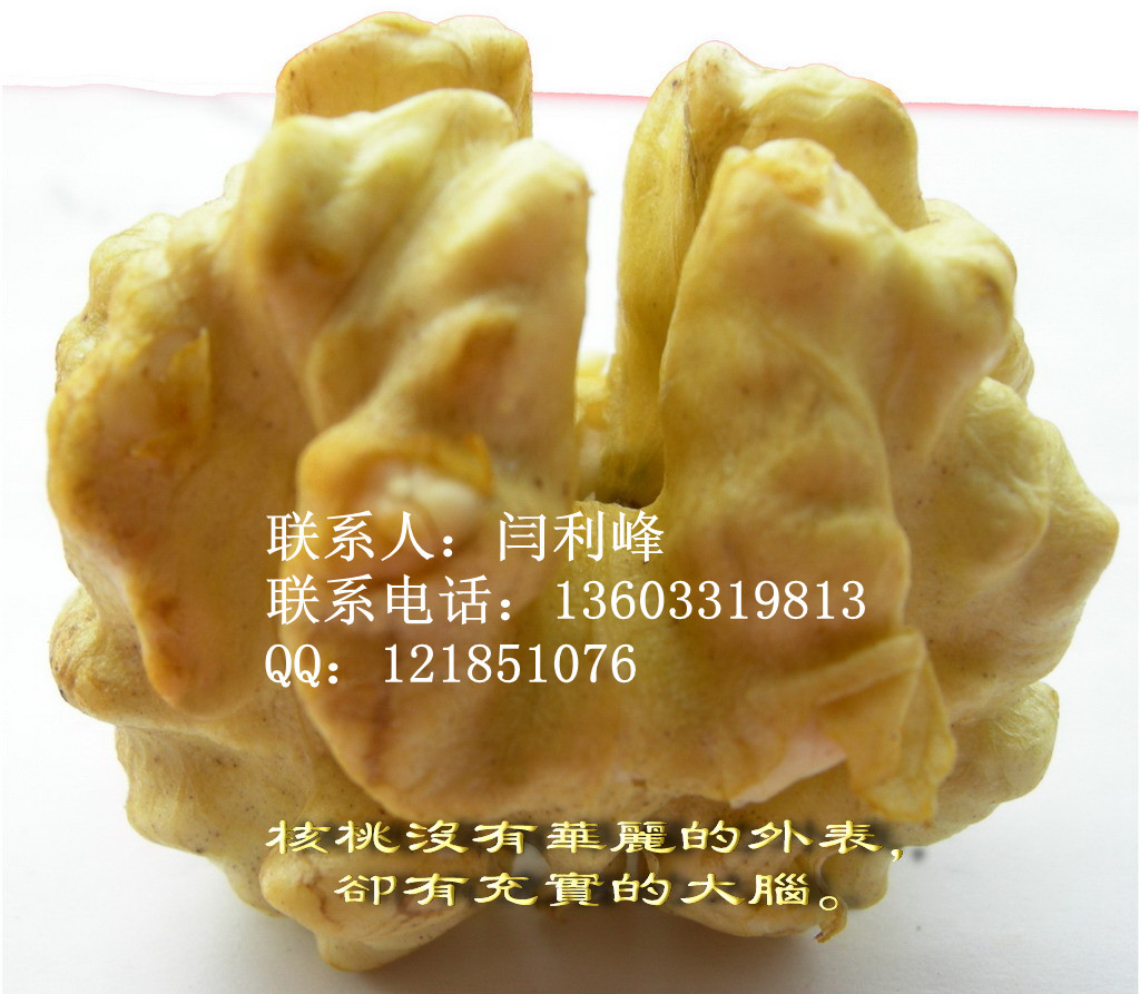 ӱƽɽʹӦ·ǳ··γϺ