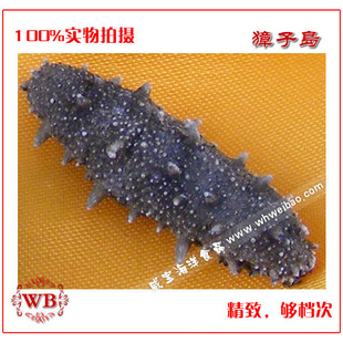 ӵҰ̲188g40-60ͷ/500g