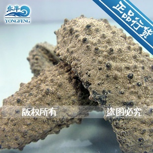厂家促销海参进口海参野生参干货刺参淡干野生海参南美淡干小腰参