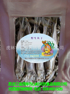 ҰｭҰɵˮ12-15150