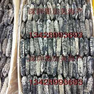 Ұνںī̲1/500