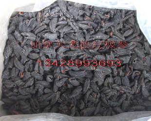 2013ƷںΡô켫1/500