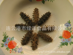 淡干刺参/辽参,一斤100-120头只卖1600元