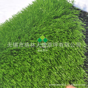 green-lawn˹Ӫ˹
