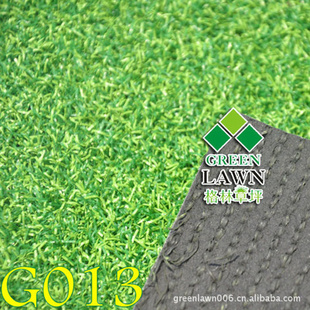 G013PA߶˶йݳֱ