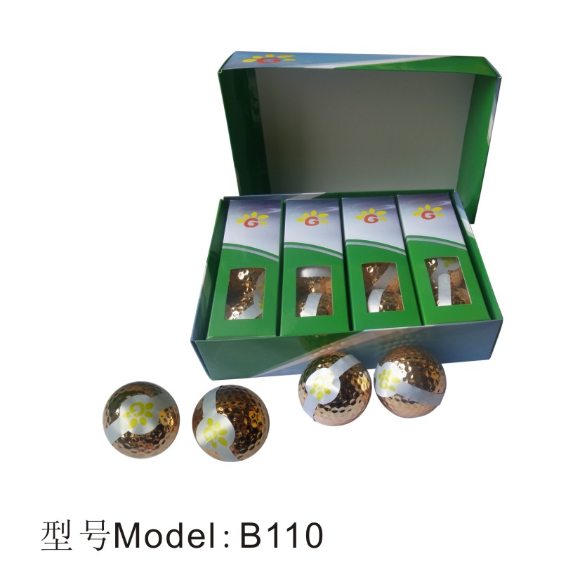 ߶B110ʴ