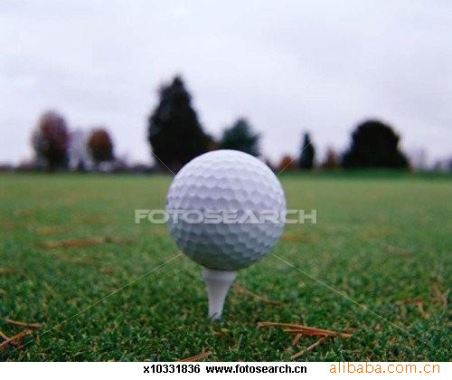 A.GOLF|߶|߶|Golf