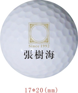߶LOGO˫ƳֱOEM-6