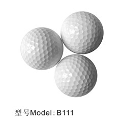 ˫ϰB111