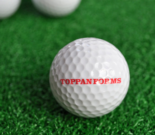 ߶LOGO˫ƳֱOEM-7