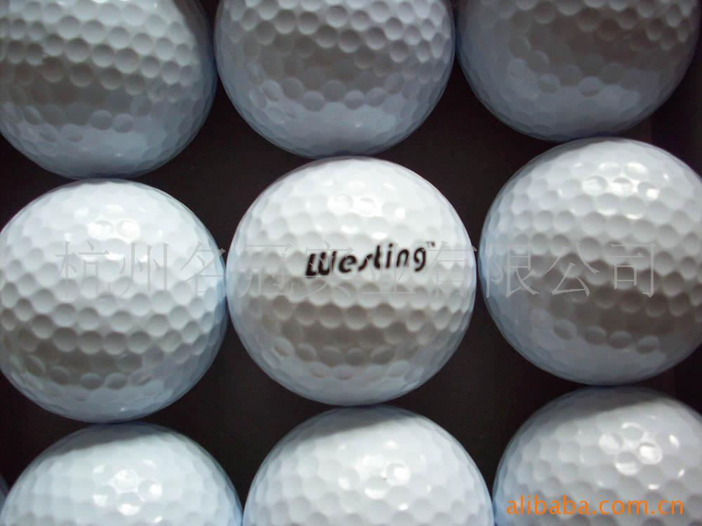 ˹westing˫߶
