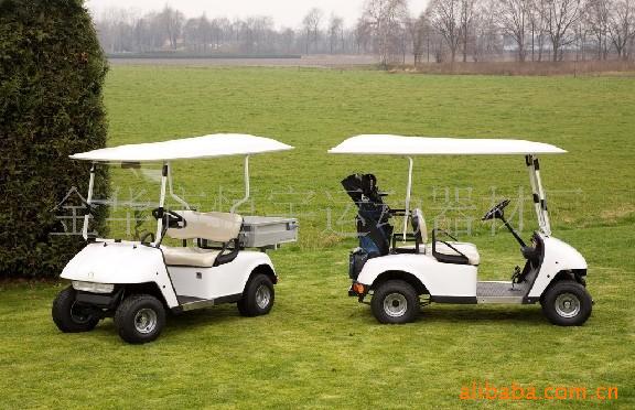 綯߶(golfcar)