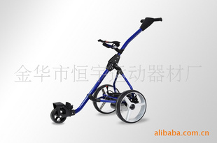 2011¿綯߶(GolfTrolley)