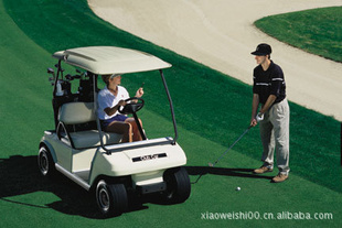 ൺ˽ڸ߶򳵣CLUBCAR