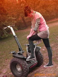 Segwayx2
