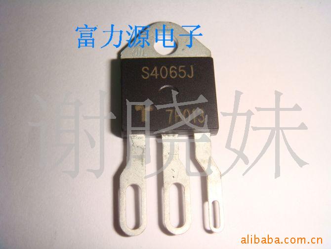 S4065J