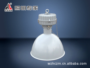 WF240B߶ƽ±250-400Wѡʽܸ߶
