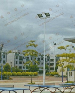 ߸˵WP503(ֱ)