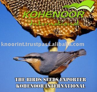 -Kohenoor˾
