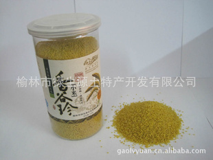 »Դ±ز䣨518g/Ͱ