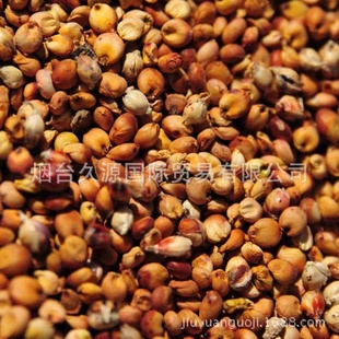 批发进口高粱,美国,澳大利亚澳洲,红白高粱进口,酿酒