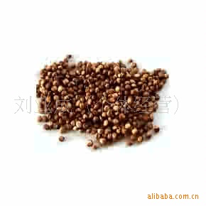 高梁(负责送货)