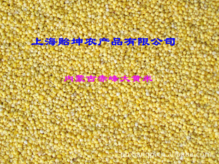 ɹųף