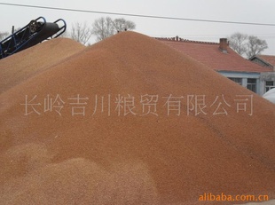 ӧӵ