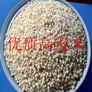 -׸500g/²Ƣθ/ٽ/Ʒ
