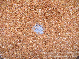 ֱӣ83110Сף