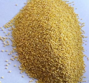 չʳƷСС׻Сף)500G