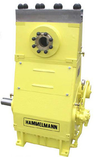 ¹HAMMELMANNѹHDP485