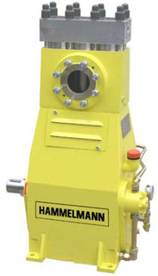 ¹HAMMELMANNѹHDP175