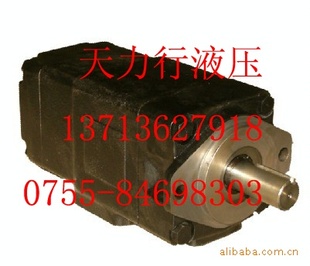 T6DC-035-012-1R00-B1˫