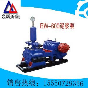 BW-600ཬ