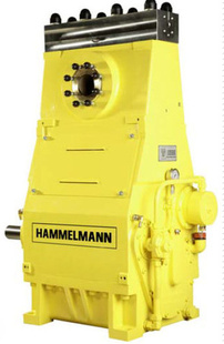 ¹HAMMELMANNѹHDP365