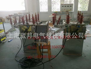 10KV˫Դն·HZW8-12Ϻ˰