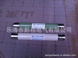 XRNP1-10(12)KV/0.520Aѹ߷ֶ۶XRNP1-10
