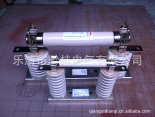 ǭXRNT1-10KV/2ѹ۶
