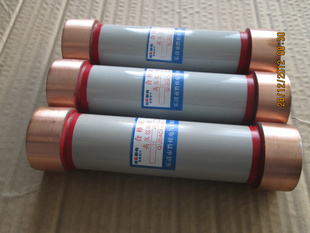 ۶RN2-10KV/2Aѹ۶Ϲ