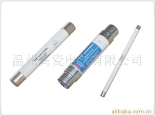 《厂家直销》电压互感器保护用高压限流熔断器XRNP高品