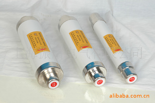 XRNT-12KV/31.SDLAJѹ۶(֧֧)