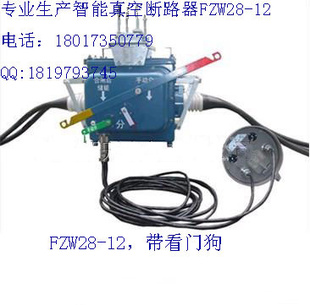 10ǧն·FZW28-12/630AңԶ̿