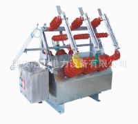 ն·ZW6-12/630A-20ZW6-12/630A-20
