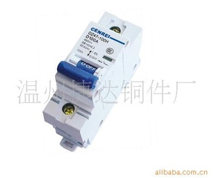 DZ47-100H/NC100Aӭͻѡ