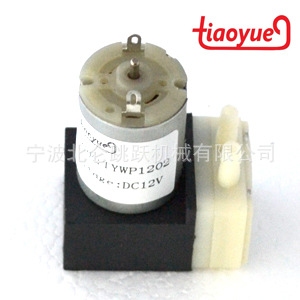 ؼ΢ͱ΢ˮ12Vֱˮˮ