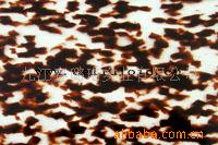 ָƬ-SLL-CN-H1004