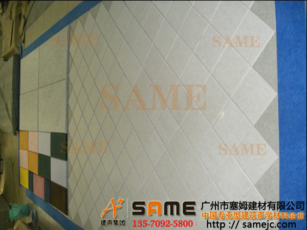 麣ķѧSAME-B