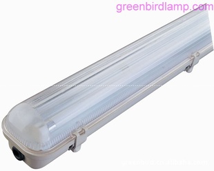 LED˫֧֧